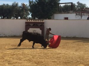 miguel-angel-campo-2