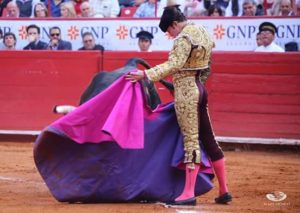 saldivar-1