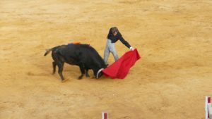 1bdfeb37-baed-4051-ba03-23ccbf8fd41a-1