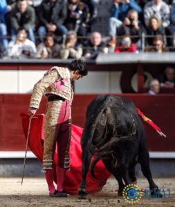 aguado