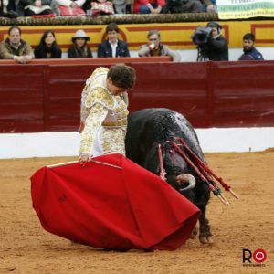 gines-marin