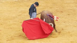 f1f49330-ef09-4daa-8469-a669e5405d35