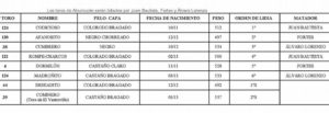 orden-de-lidia-valencia-11-de-marzo