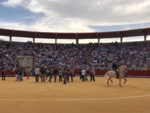 paseillo