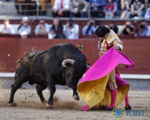 garrido-1