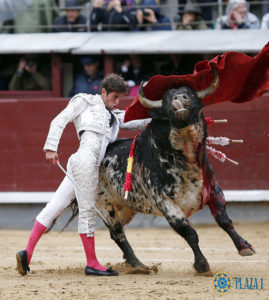 tulio-salguero