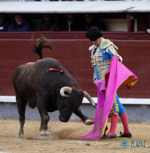 alvaro-garcia-1