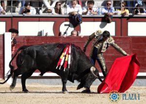 curro-diaz-1