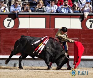 curro-diaz-2