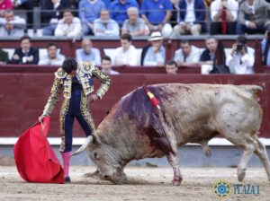 curro-diaz-3