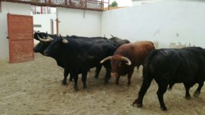 desembarque-1