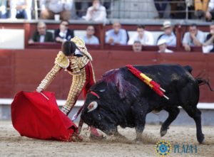 garrido-2