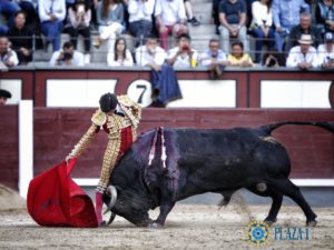 garrido-3