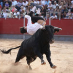 benejuzar-recortadores-2017-1