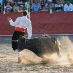 benejuzar-recortadores-2017-4
