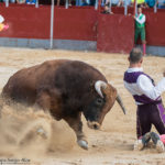 benejuzar-recortadores-2017-9