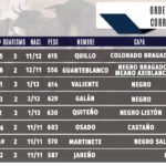 orden-de-lidia
