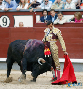 david-mora