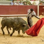 morenito-1