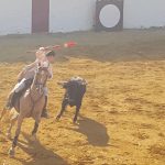 ana-rita