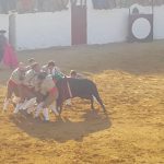 forcados
