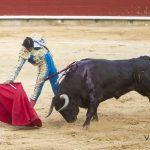 _mg_3324