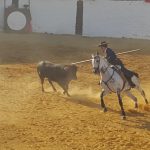 sebastian-fernandez-1