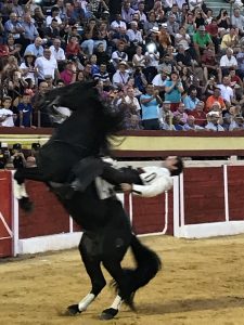 andy-cartagena-en-baza-2