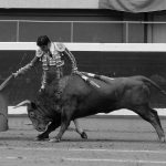 _dsc0922