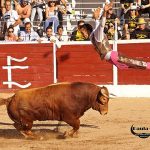 fuentiduena-tajo-recortadores-3