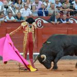 garcigrande-10