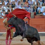 garcigrande-8