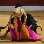 primera-de-abono-en-la-feria-de-zafra_20-46-15_618_960x720
