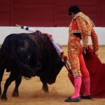 primera-de-abono-en-la-feria-de-zafra_20-48-17_618_960x720