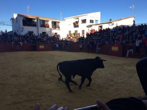 encierro-bajo-el-frio-en-dolar-2