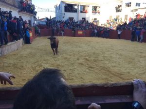 encierro-bajo-el-frio-en-dolar-3
