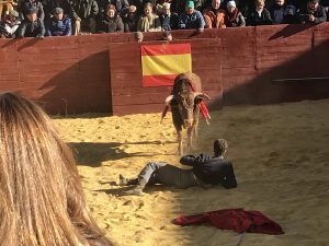 festival-en-dolar-bajo-cero-y-cargado-de-trofeos-3