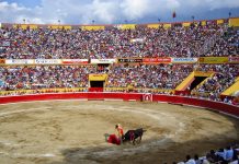 La Copa Girón: una oportunidad para toreros en Venezuela.