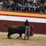 IMG_7772
