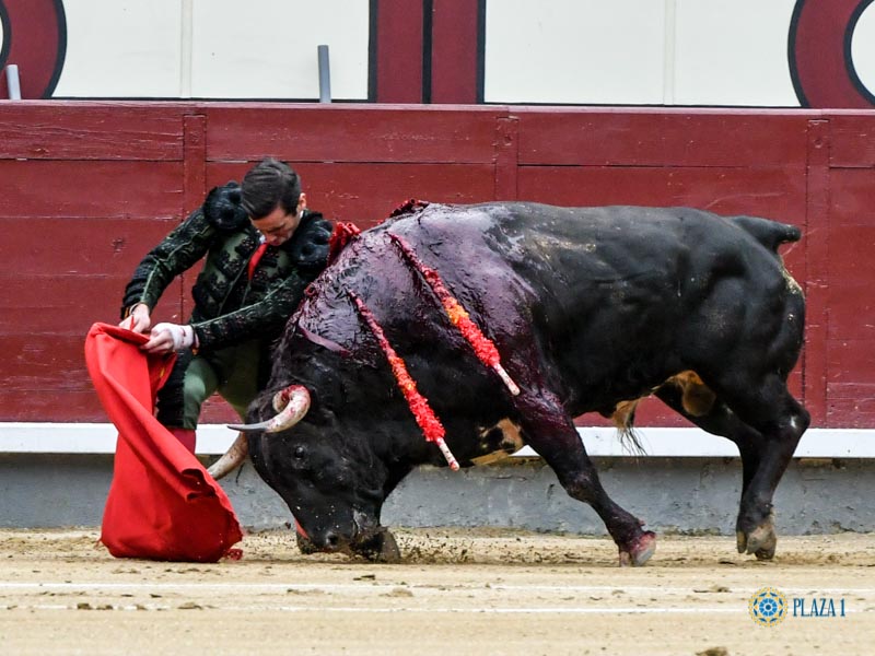 Juan Ortega, única vuelta al ruedo en Las Ventas, vídeo 