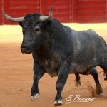 OSUNSA 18-05-2019 (7)