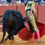 SEVILLA 2019-01-05 (10)