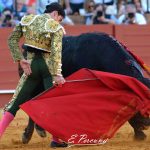 SEVILLA 2019-01-05 (12)