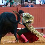 SEVILLA 2019-01-05 (14)
