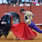 SEVILLA 2019-01-05 (25)