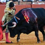 SEVILLA 2019-01-05 (8)