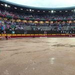 SUSPENCION CEBADA GAGO 0