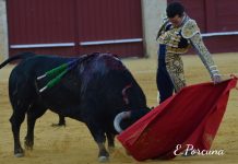 Galería de López Simón, Román y David de Miranda en Málaga