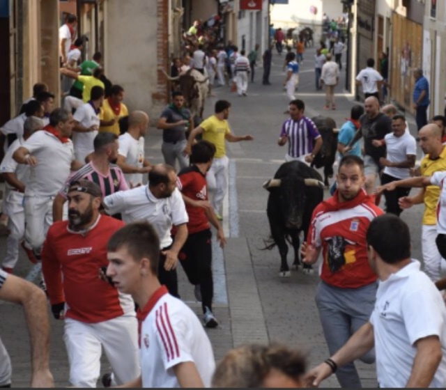 Cornada mortal en el último encierro de Cuellar