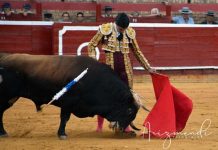 Pablo Aguado suspende los compromisos de esta semana